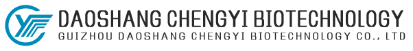 Guizhou Daoshang Chengyi Biotechnology Co., Ltd