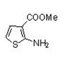 2-Amino-thiophene-3-carboxylic acid methyl ester